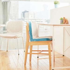 Coussin ergonomique pinto kids-rougebleu