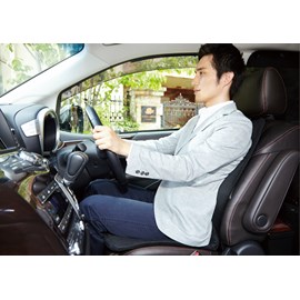 Coussin ergonomique pinto driver-noir