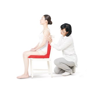 Coussin ergonomique pinto standard-mbleu