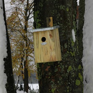 Nichoir d'observation à miroir