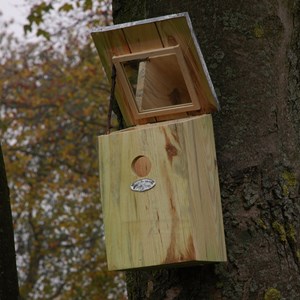 Nichoir d'observation à miroir