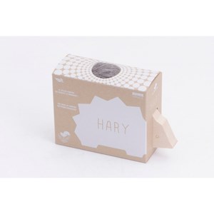 Hary le hérisson gris