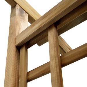 Pergola jasmin + 2 supports poteaux