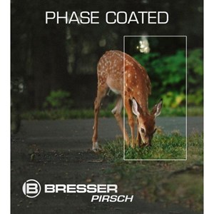 Jumelles pirsch 10x34 phase coating