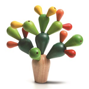 Mikado cactus
