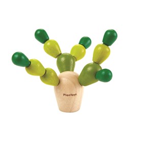 Mini mikado cactus
