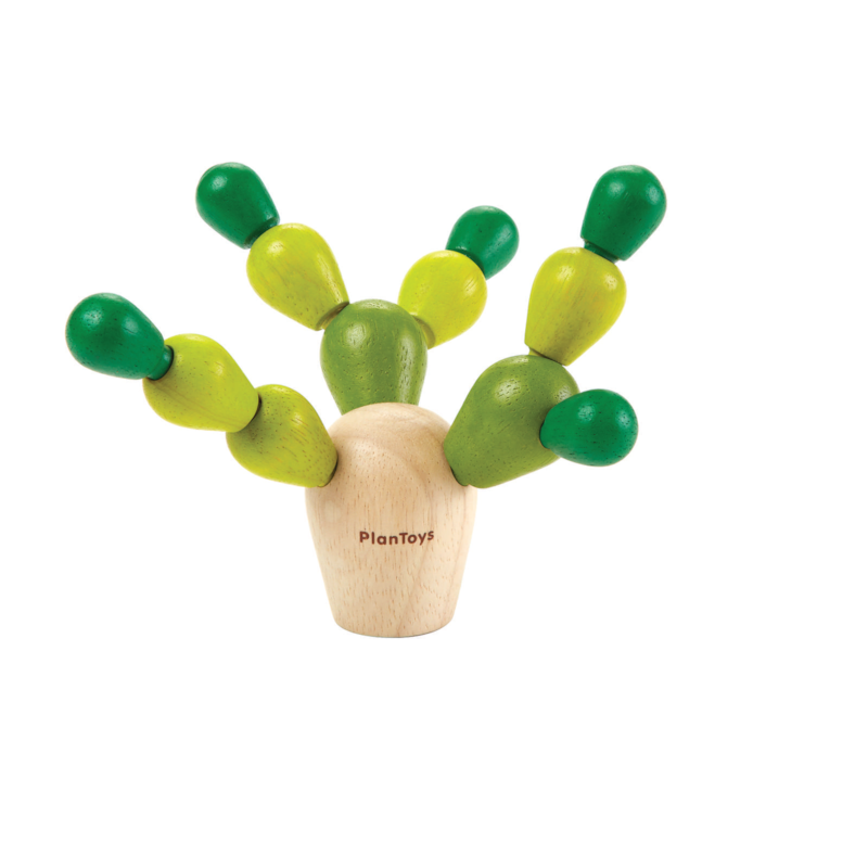 Mini mikado cactus