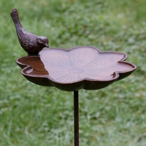 Mangeoire abreuvoir pour oiseaux à pique