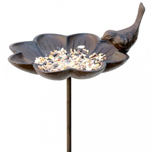 Mangeoire abreuvoir pour oiseaux à pique