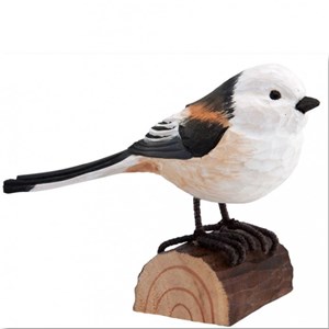 Mesange longue queue en bois
