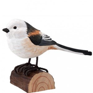 Mesange longue queue en bois