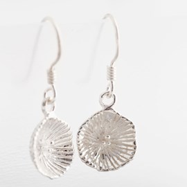 Boucles fleur des mers