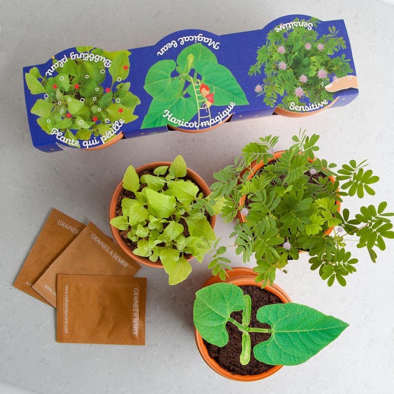 Trio de plantes extraordinaires