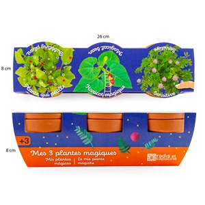 Trio de plantes extraordinaires