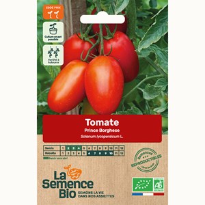 Tomate prince borghese bio