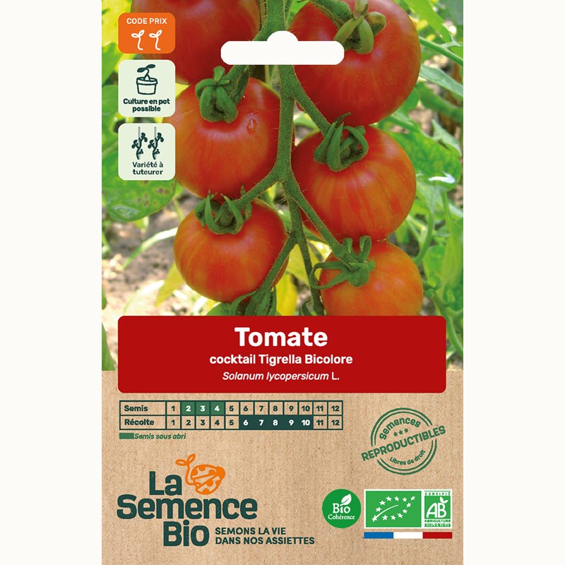Tomate cocktail tigerella bicolore bio