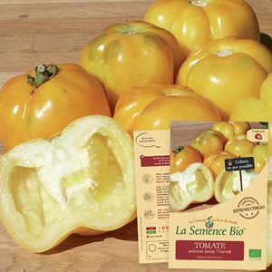 Tomate poivron jaune vincent bio