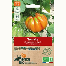 Tomate albenga rouge ou liguria bio