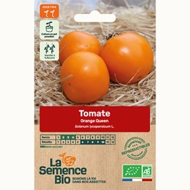 Tomate orange queen bio