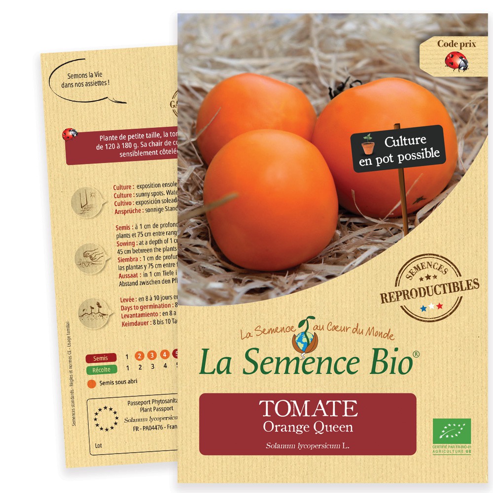 Nos graines potagères de tomate Orange Queen Bio - La Bonne Graine