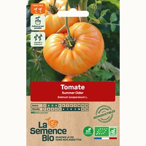 Tomate summer cider bio