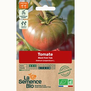 Tomate black from tula bio