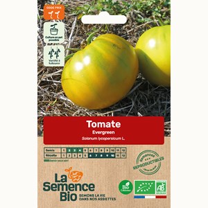 Tomate evergreen bio