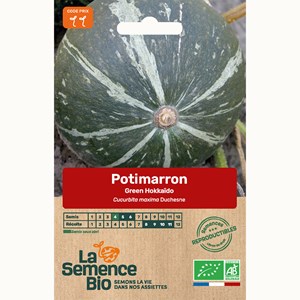 Potimarron green hokkaïdo bio