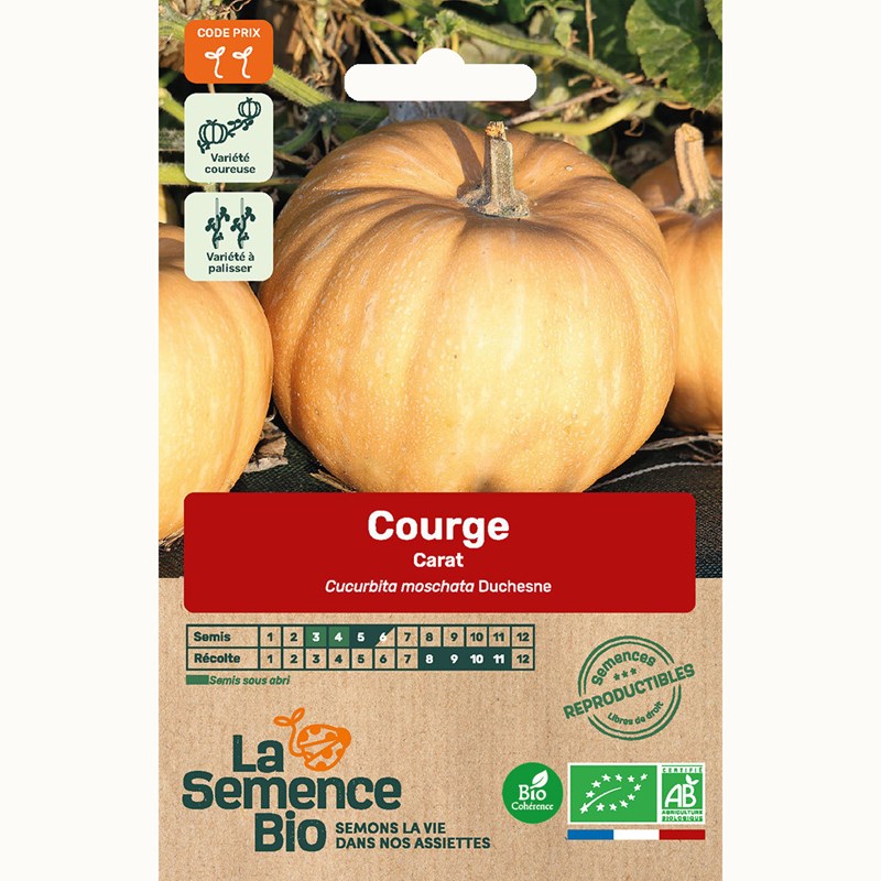 Courge carat bio