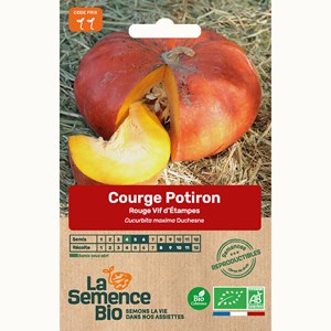 Courge rouge vif d'etampes bio