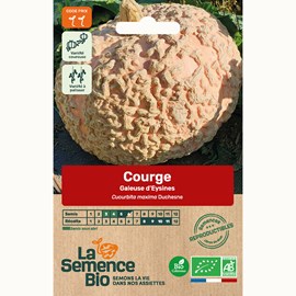 Courge gâleuse d'eysines bio