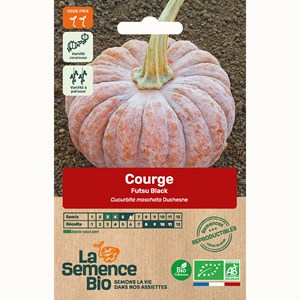 Courge futsu black bio