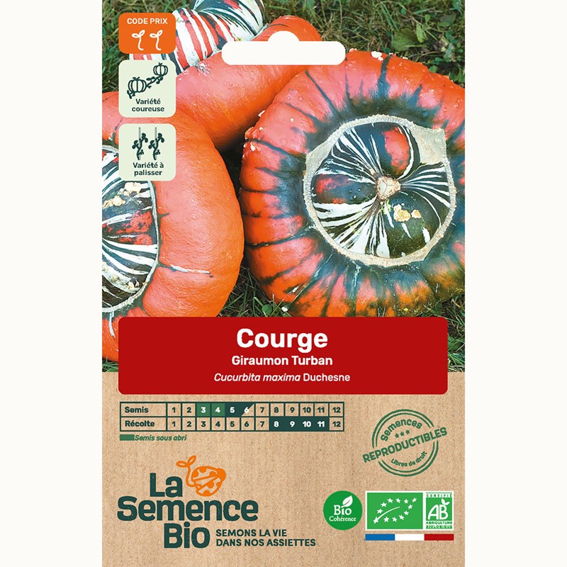 Courge giraumon turban bio