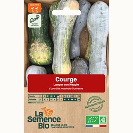 Courge langer von neaple bio
