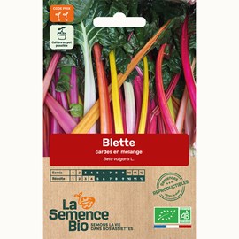 Blette cardes en mélange bio