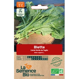 Blette liscia verde da taglio bio