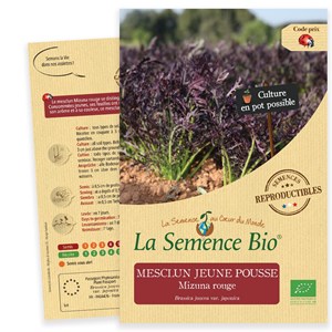 Mesclun jeune pousse mizuna rouge bio