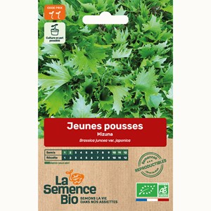 Mesclun jeune pousse mizuna bio