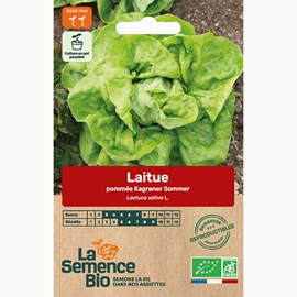 Laitue pommée kagraner sommer 2 bio