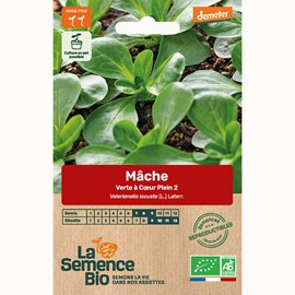 Mâche verte à cœur plein 2 bio