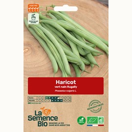 Haricot vert nain rugally bio