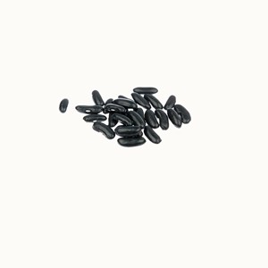 Haricot vert nain rugally bio