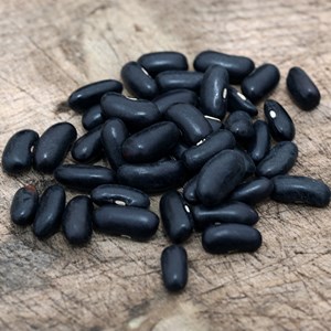 Haricot vert nain rugally bio