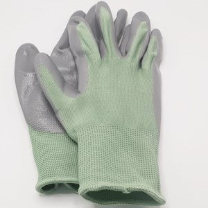 Kit jardinage pour permaculture : tomate, basilic, pois, laitue, courge, fleurs