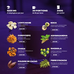 Café adaptogènes brainstoorm goût choco