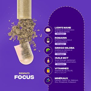 Focus-cure champignon adaptogène 3 mois