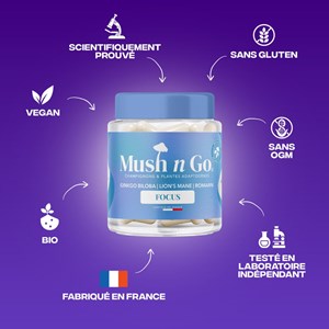 Focus-cure champignon adaptogène 3 mois