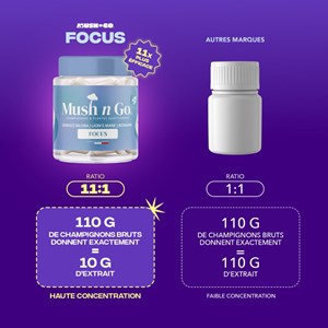 Focus-cure champignon adaptogène 3 mois