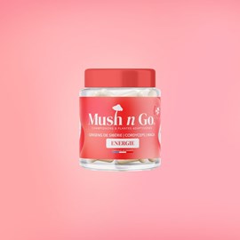 Énergie - cure champignon adaptogène