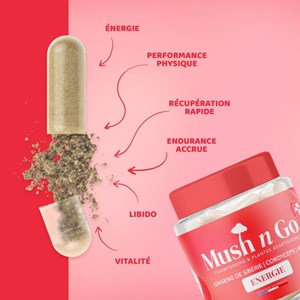 Énergie-champignon adaptogène 3 mois